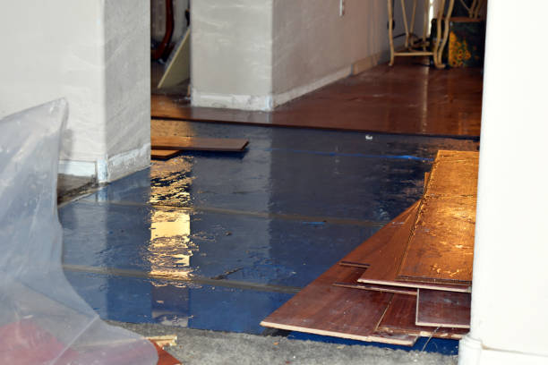 Professional Water Removal technician working in Hope Valley, RI